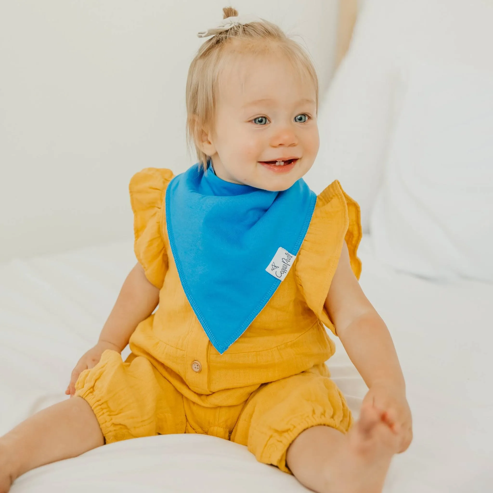 Baby Bandana Bibs - Blueberry