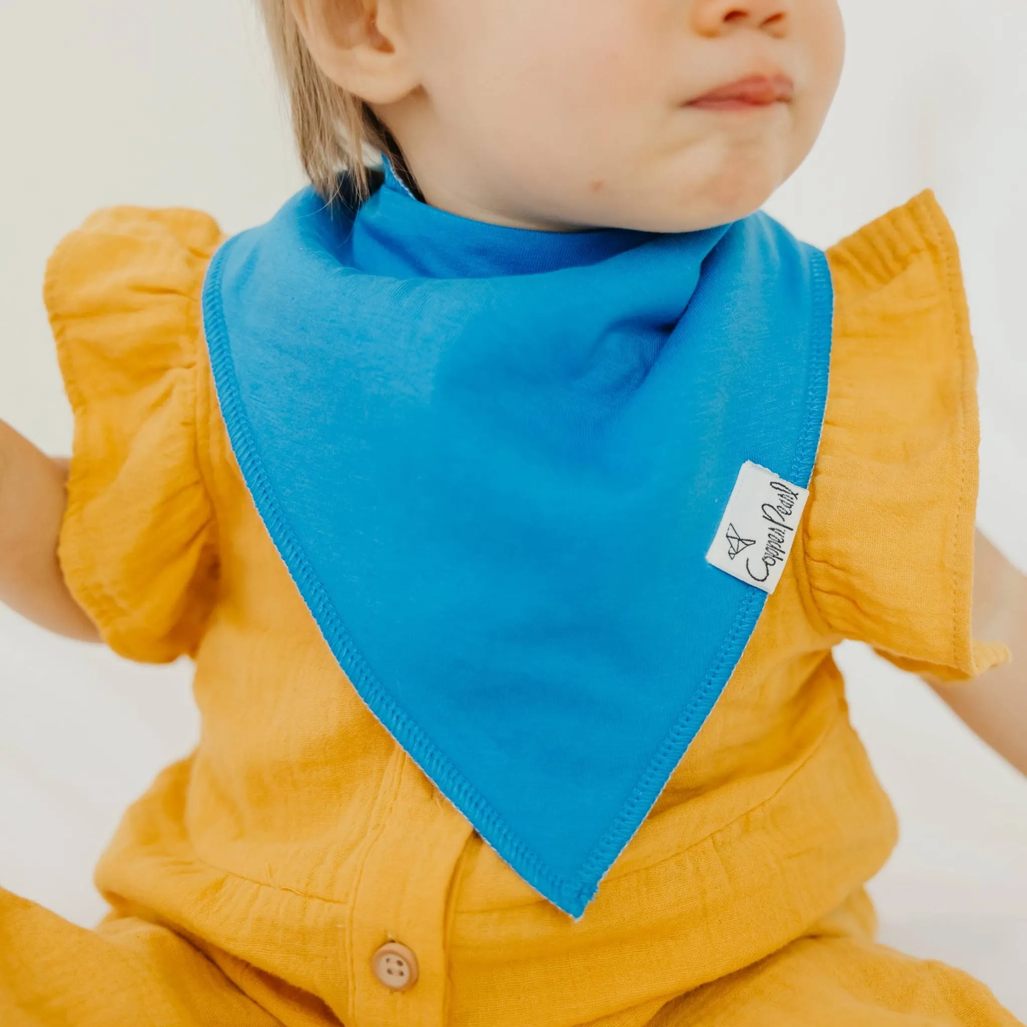 Baby Bandana Bibs - Blueberry
