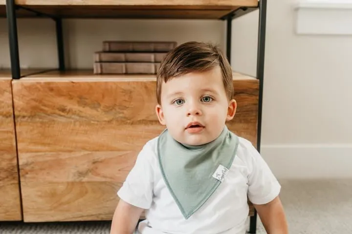 Blaze Bandana Bibs
