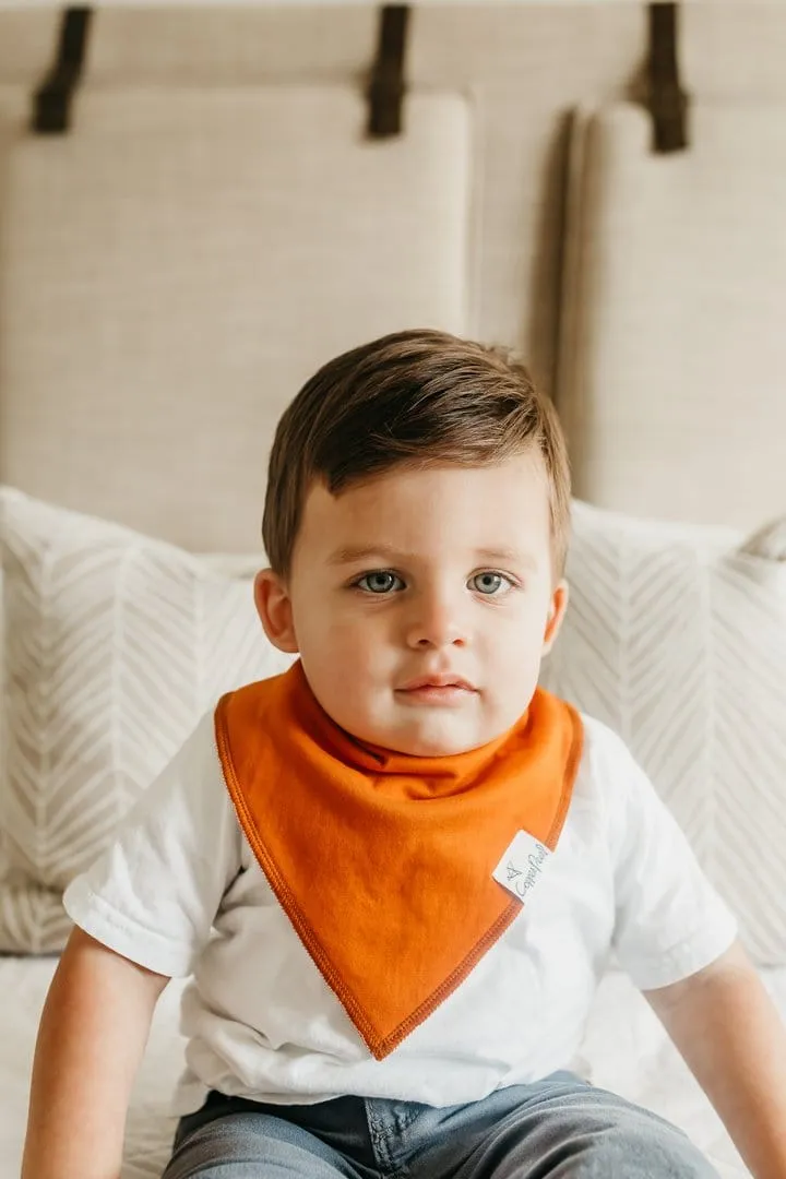 Blaze Bandana Bibs