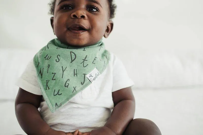 Chip Baby Bandana Bibs