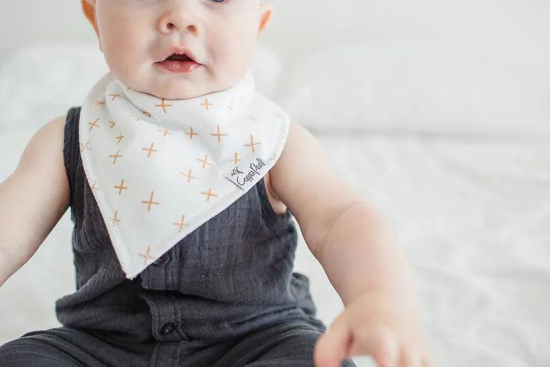 Chip Baby Bandana Bibs