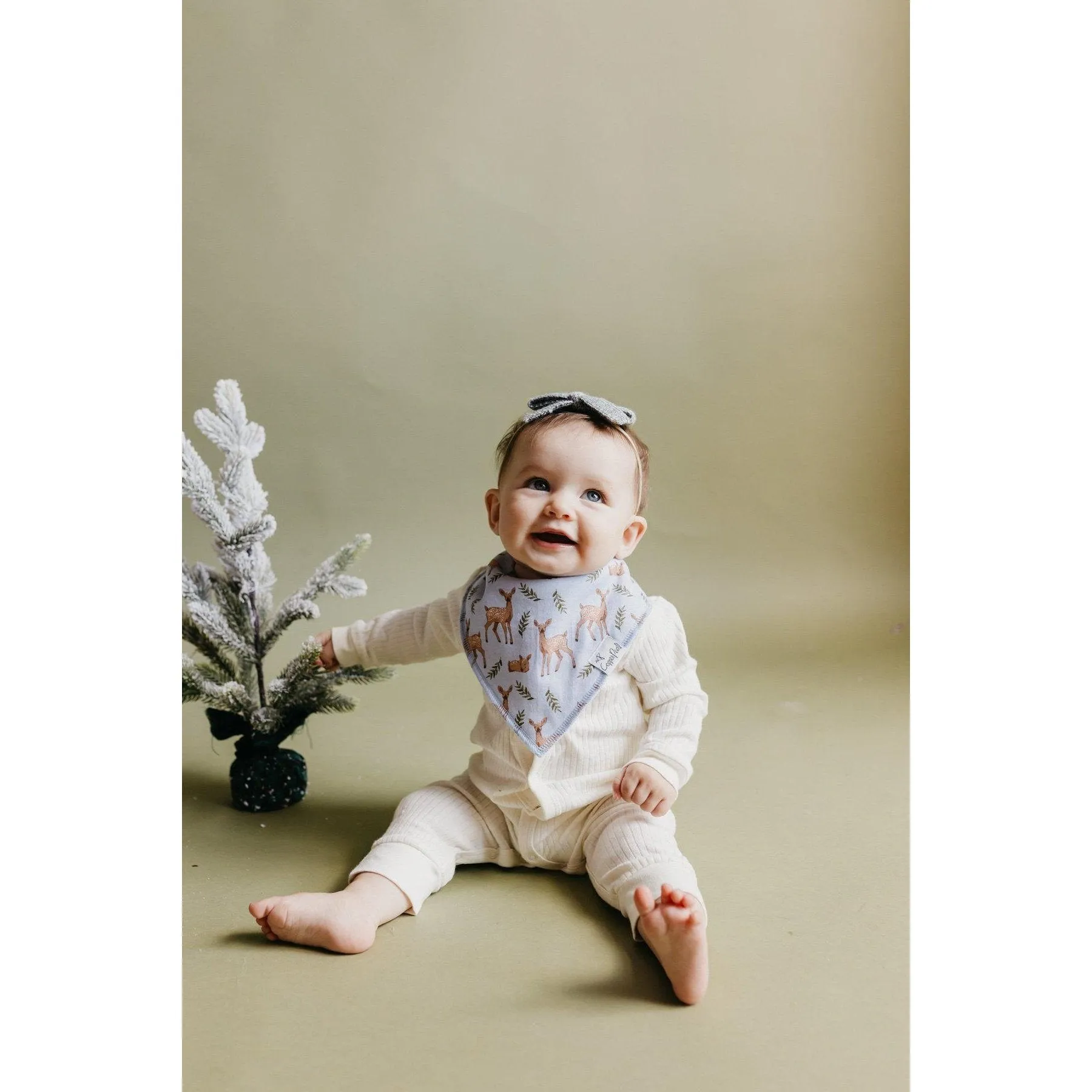 Cider Baby Bandana Drool Bibs