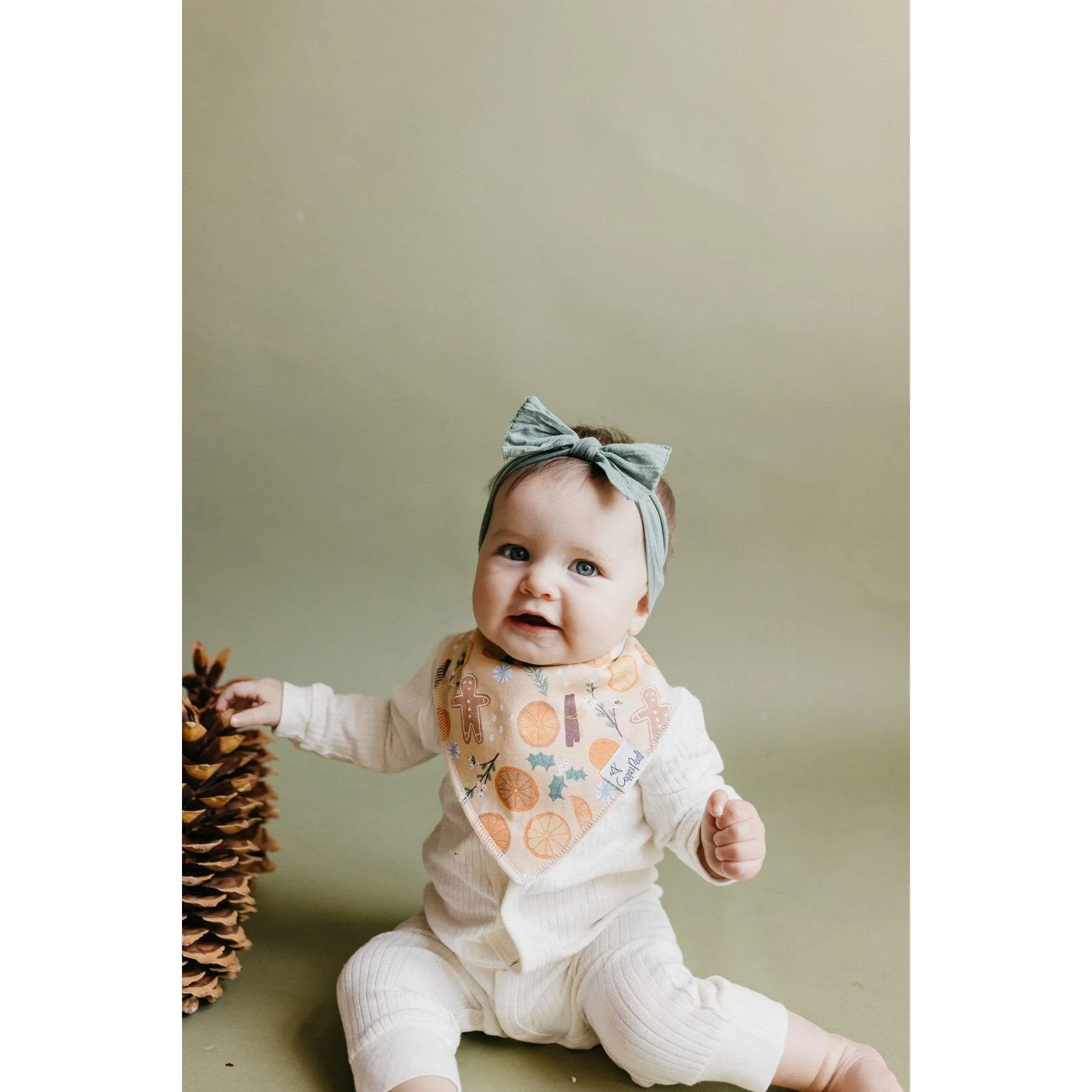 Cider Baby Bandana Drool Bibs