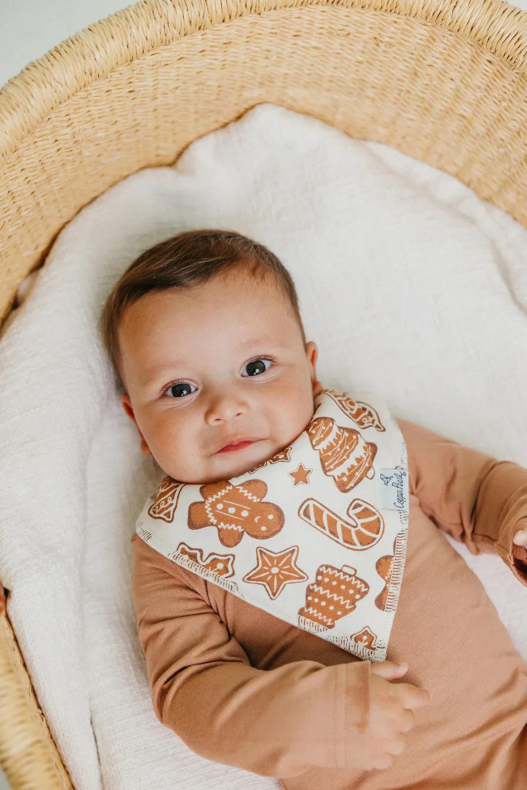 Copper Pearl Baby Bandana Bibs | Gingerbread