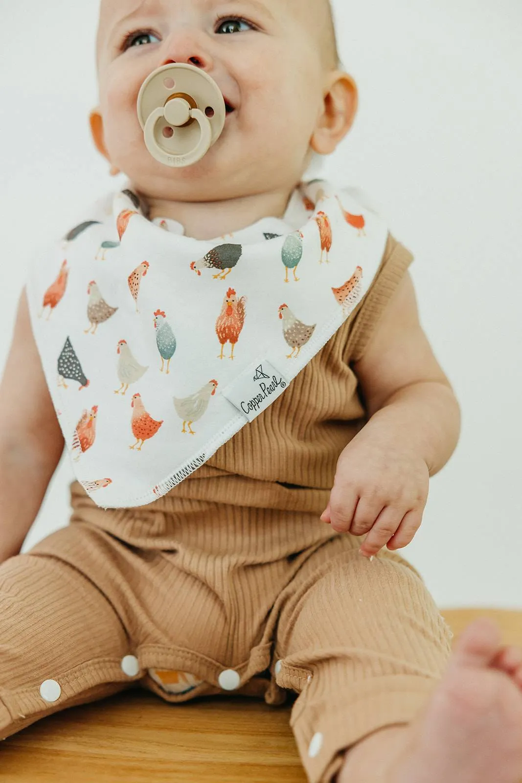 Farmstead Bandana Bib Set