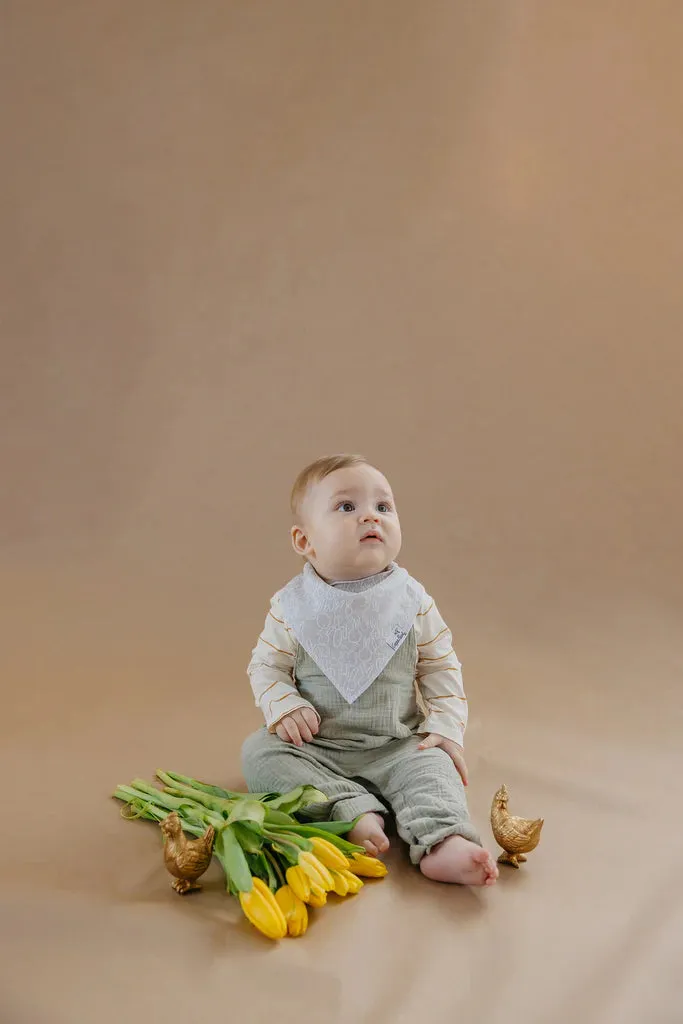 Peter Bandana Bibs