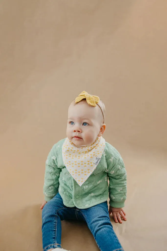 Peter Bandana Bibs