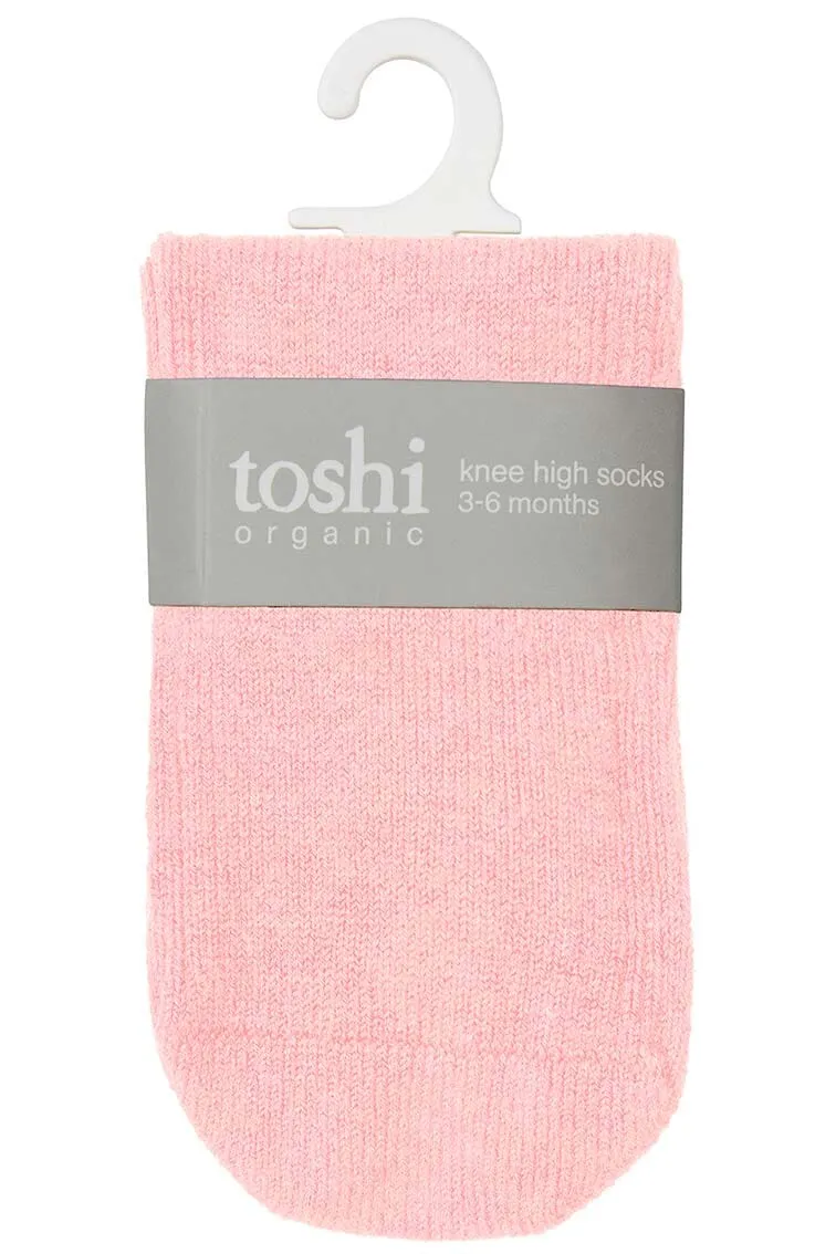 Toshi Organic Dreamtime Knee Socks - Pearl